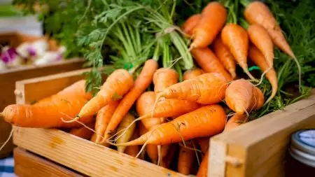 Consumă trei morcovi fierți în fiecare zi. Vor face minuni pentru organismul tău: care vor fi primele schimbări