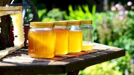 Amestecul natural pe bază de miere și ulei de măsline care te detoxifică și-ți curăță ficatul. Se prepară simplu acasă. Rețeta completă